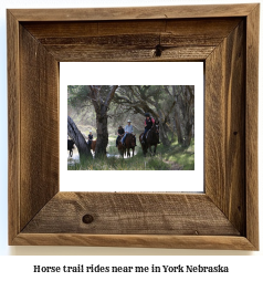 horse trail rides near me in York, Nebraska